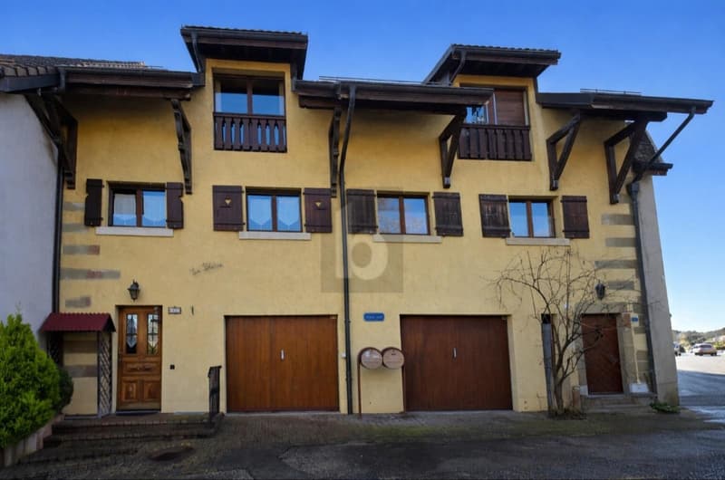 CHARMANT, SPACIOUS AND IDEALLY LOCATED (1)