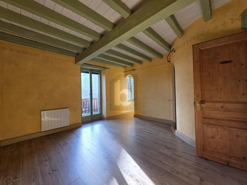 CHARMANT, SPACIOUS AND IDEALLY LOCATED (4)
