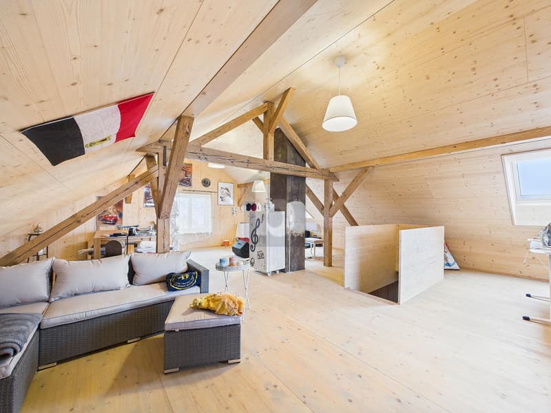 Renovated Core - Quiet Spot on the Edge of the Forest (3)
