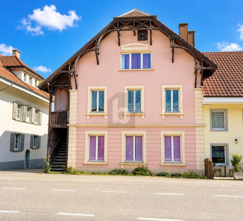 BARGAIN! LIVING AND WORKING WITH LARGE TERRACE (1)
