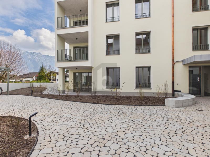 New Building on Lake Werdenberg (C104) (3)