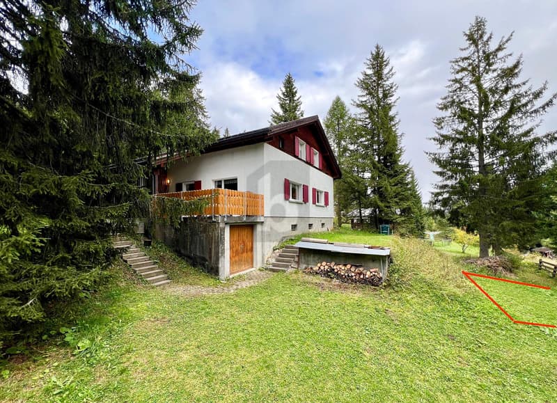 FAMILY PARADISE IN THE MOUNTAINS (1)