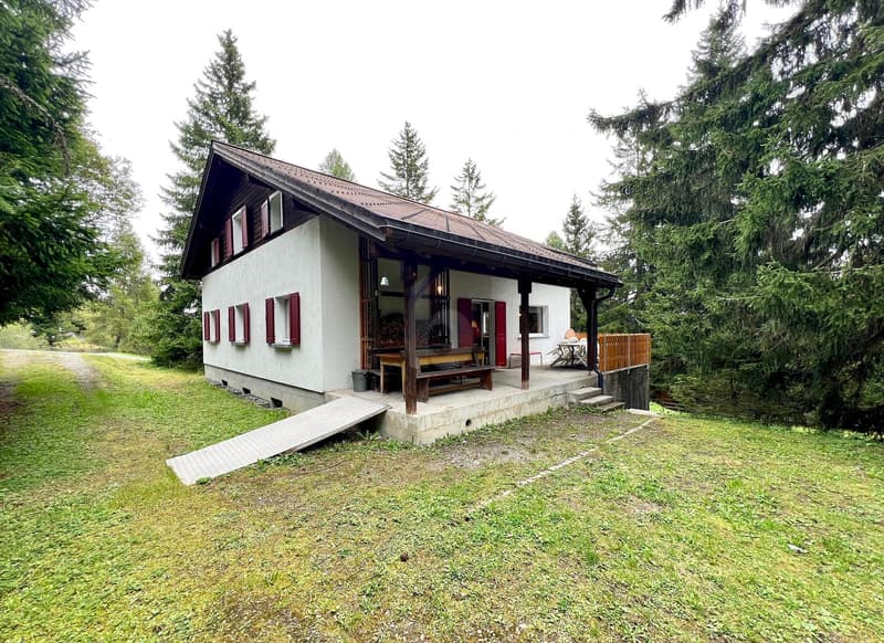 FAMILY PARADISE IN THE MOUNTAINS (2)