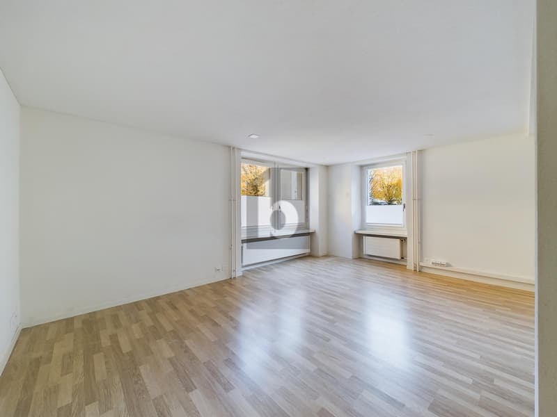Long-term rental with good returns (5)