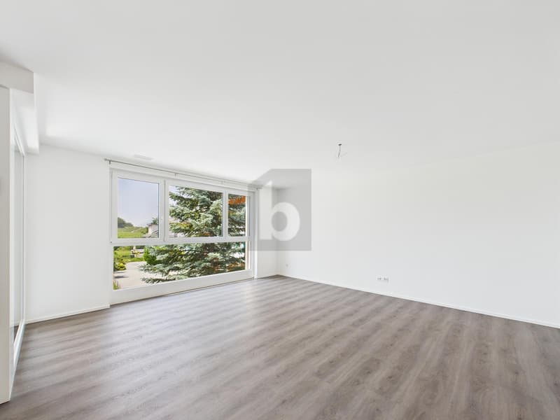 Comfortable apartment in a quiet location (4)