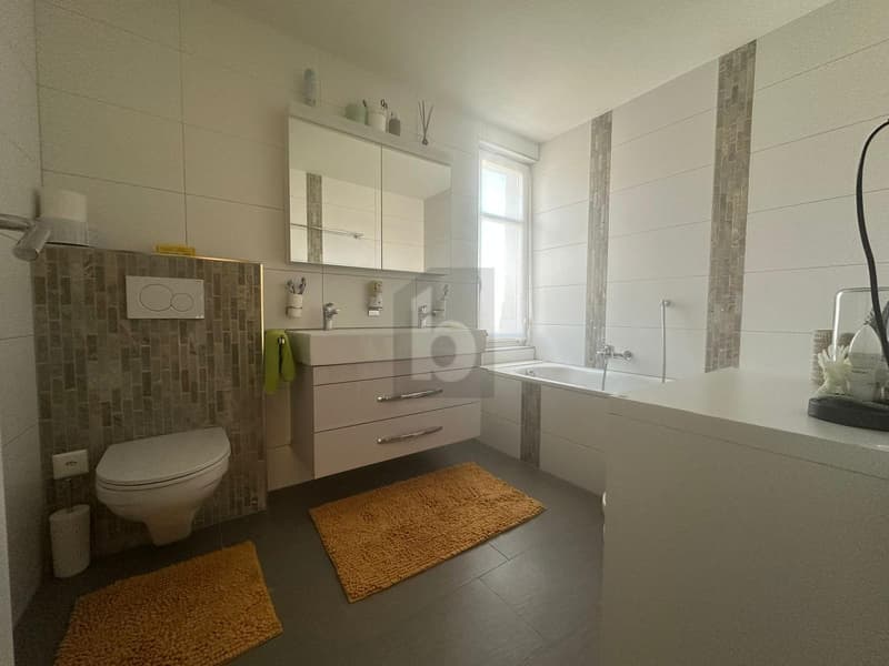 Well-maintained, central, and bright (4)