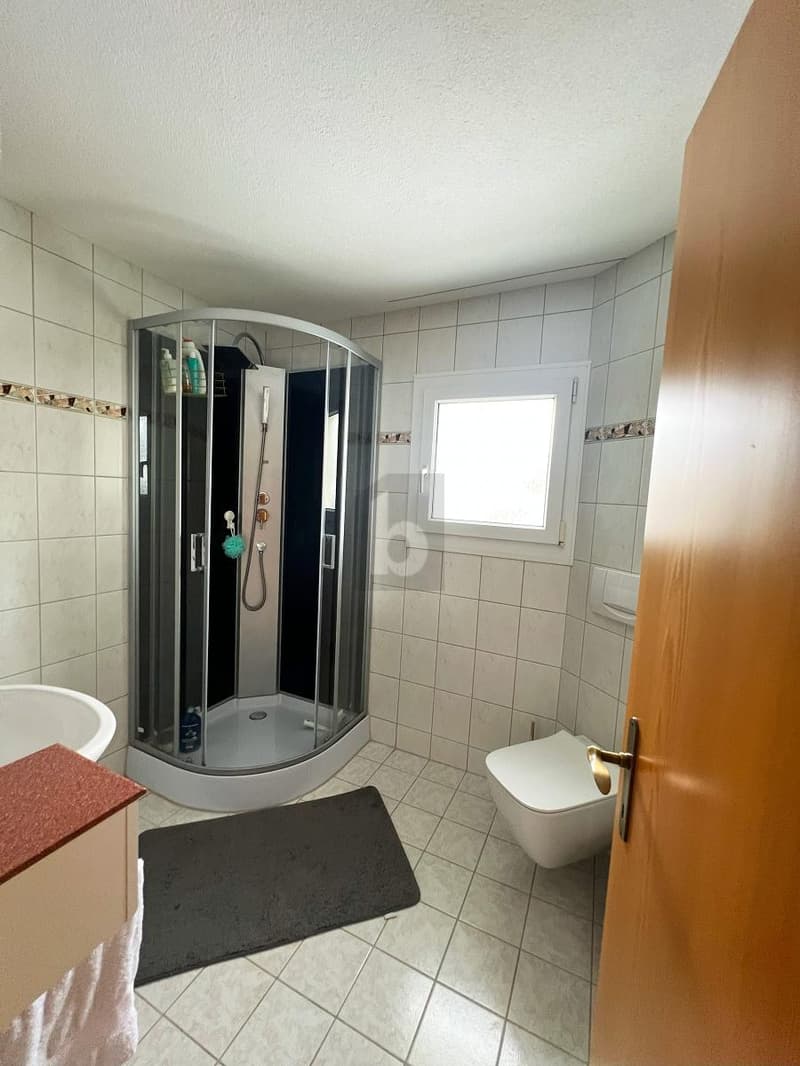TOP RENOVATED WITH SMALL GARDEN (5)