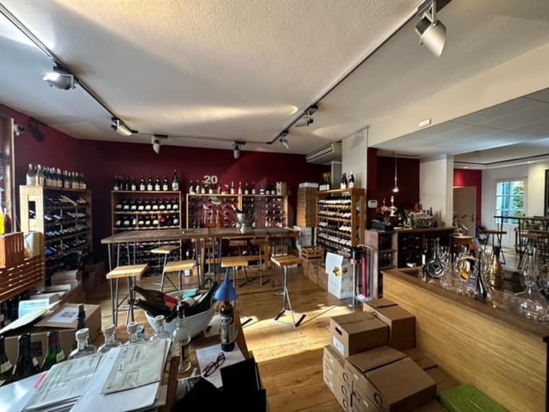 Prestigious Wine Cellar, Charming Neighborhood, Carouge (2)