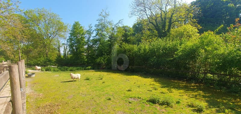 In a natural setting with stables! (3)