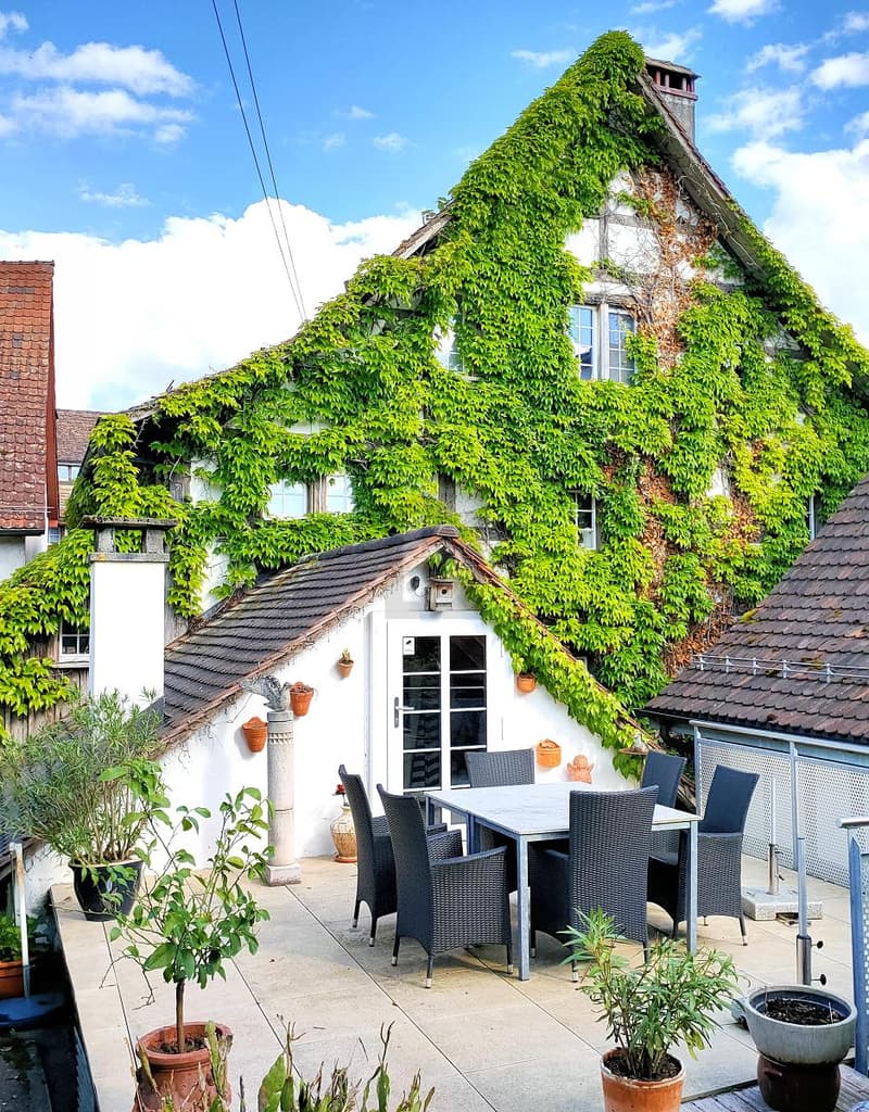 COMPLETAMENTE ARREDATO CON TERRAZZA SOLEGGIATA E GIARDINO (5)