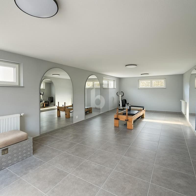 ENTIRELY RENOVATED MODERN EXCEPTIONAL (5)