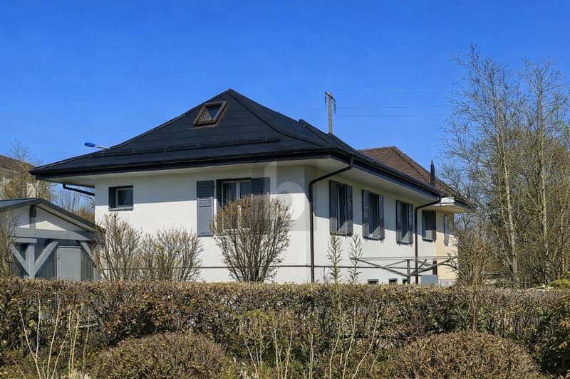 Beautiful renovated villa with 3 apartments and garden (5)