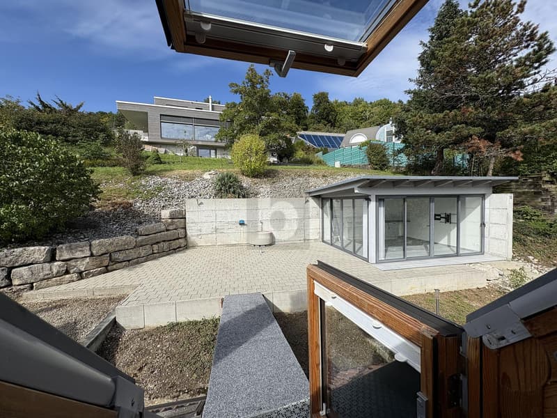 At a sunny location with a winter garden! (2)