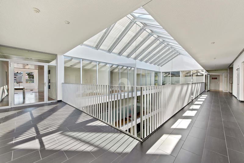 RIESIGE PRODUKTIONSHALLE IDEAL FÜR IHR BUSINESS (4)