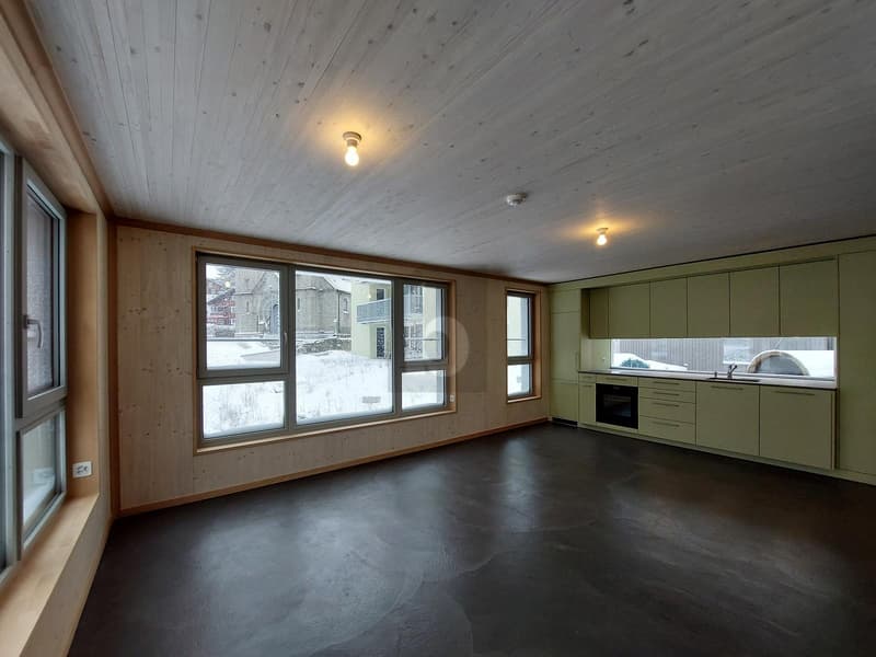 Modern Alpine House in the Middle of Nature (2)