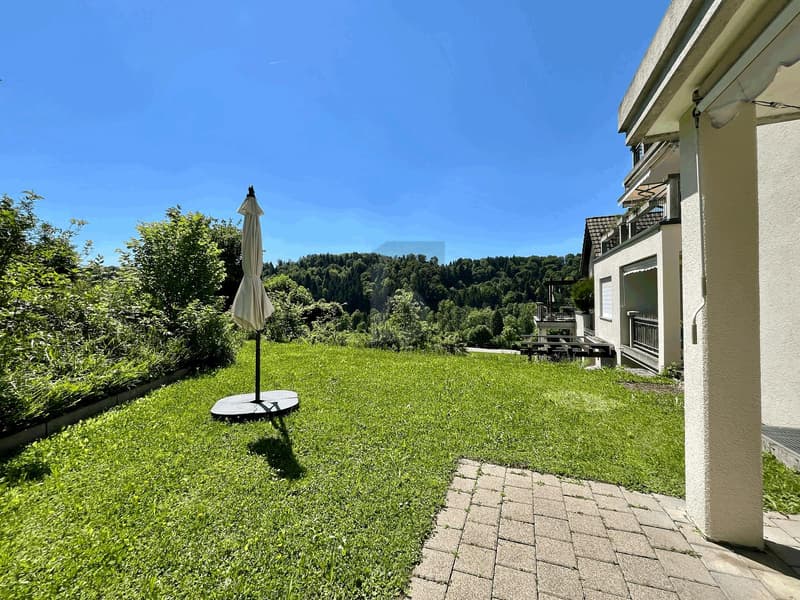 With a sunny garden for sole use (2)