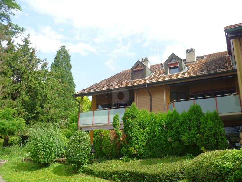 SPACIOUS TRIPLEX, QUIET, AVAILABILITY TO BE AGREED (1)