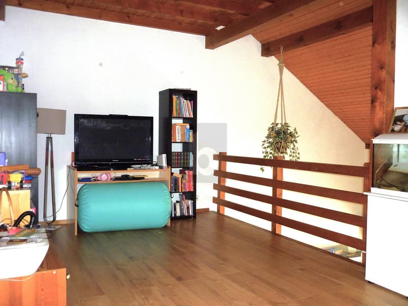 SPACIOUS TRIPLEX, QUIET, AVAILABILITY TO BE AGREED (4)