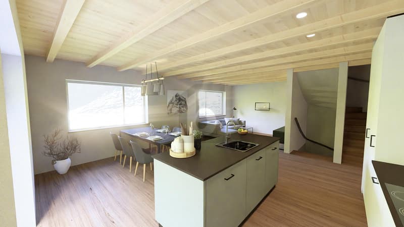 Luxurious First Occupation with In-Law Apartment (3)