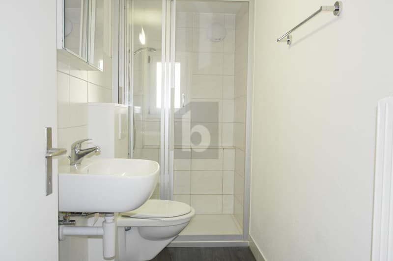 Renovated with small balcony (5)