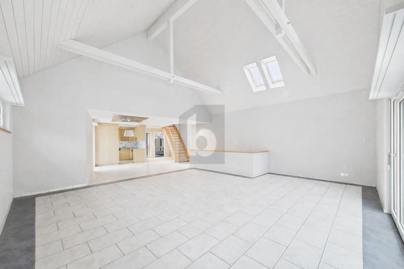 PREISHIT! LOT OF SPACE AND GIGANTIC ROOM HEIGHT! (2)