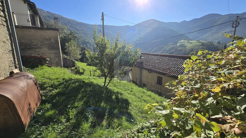 Sunny property with garden (2)