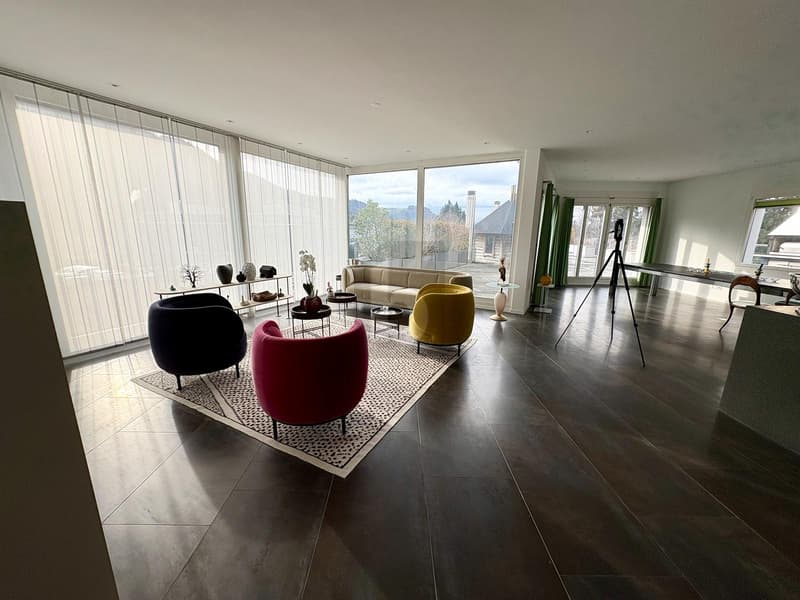 SPACIEUX AVEC TERRASSE ET SAUNA (4)