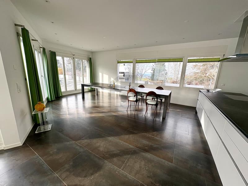 SPACIEUX AVEC TERRASSE ET SAUNA (2)