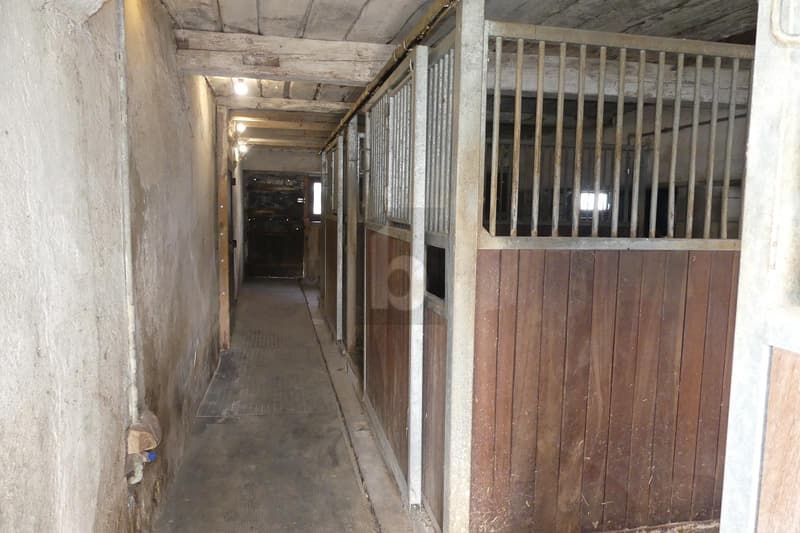 Spacious House in a Quiet Location (4)