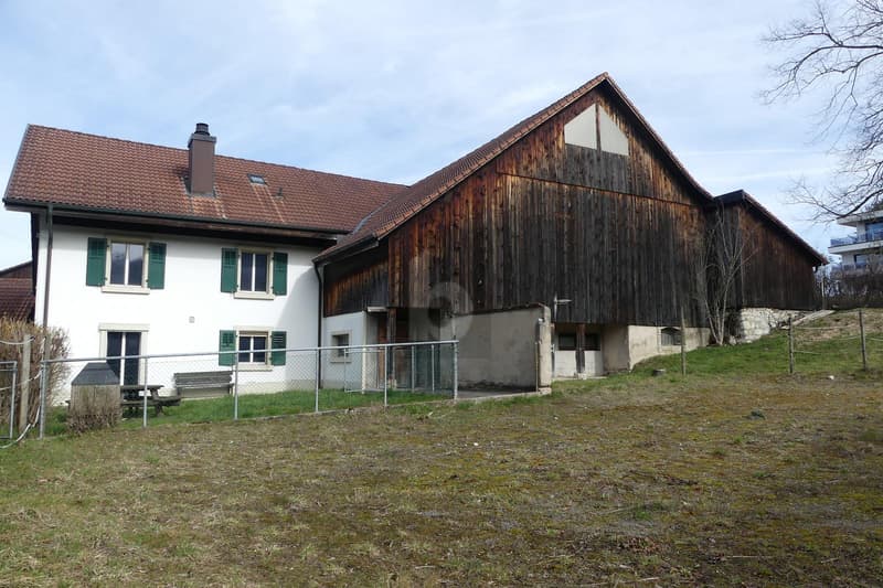 Spacious House in a Quiet Location (1)