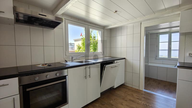 UNIQUE OPPORTUNITY WITH LAKE VIEW AND POTENTIAL (4)