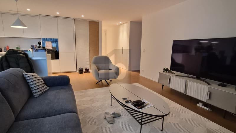 CITY CLOSE AND LUXURIOUS (2)
