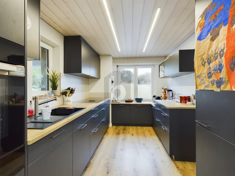 Detached house with a lot of surroundings (3)