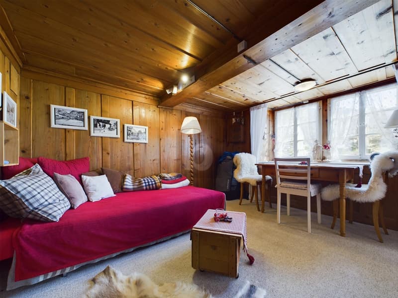 Detached Chalet at the Foot of the Eiger (3)