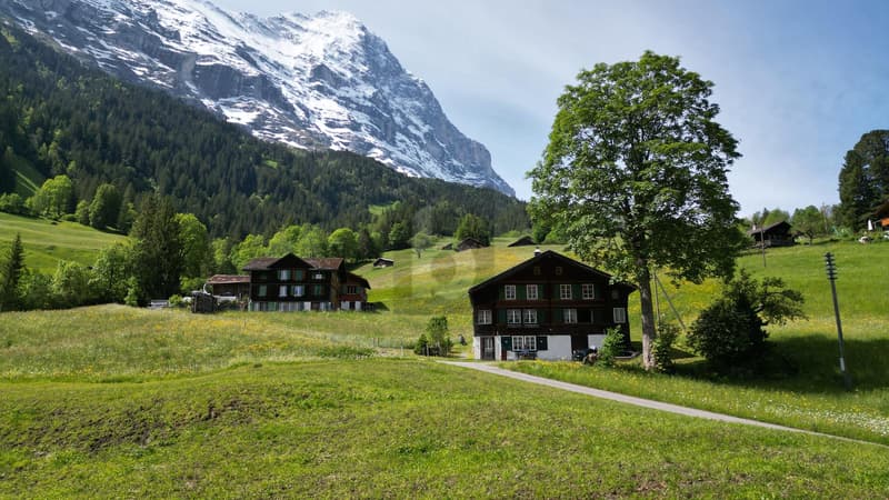 Detached Chalet at the Foot of the Eiger (2)