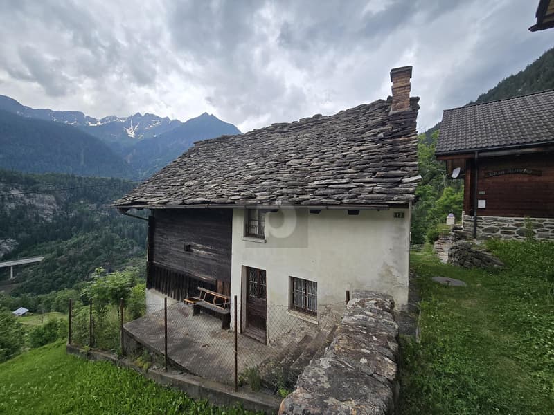 Spacious and sunny to renovate (5)