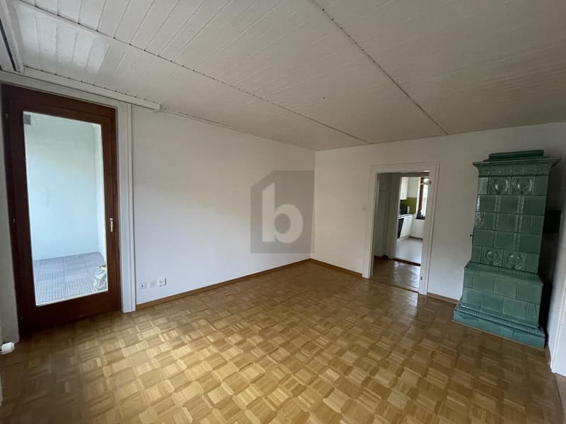 IDYLISCHER ALTBAU MIT GROSSER DACHTERRASSE (2)
