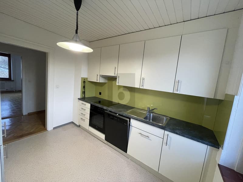 IDYLISCHER ALTBAU MIT GROSSER DACHTERRASSE (3)