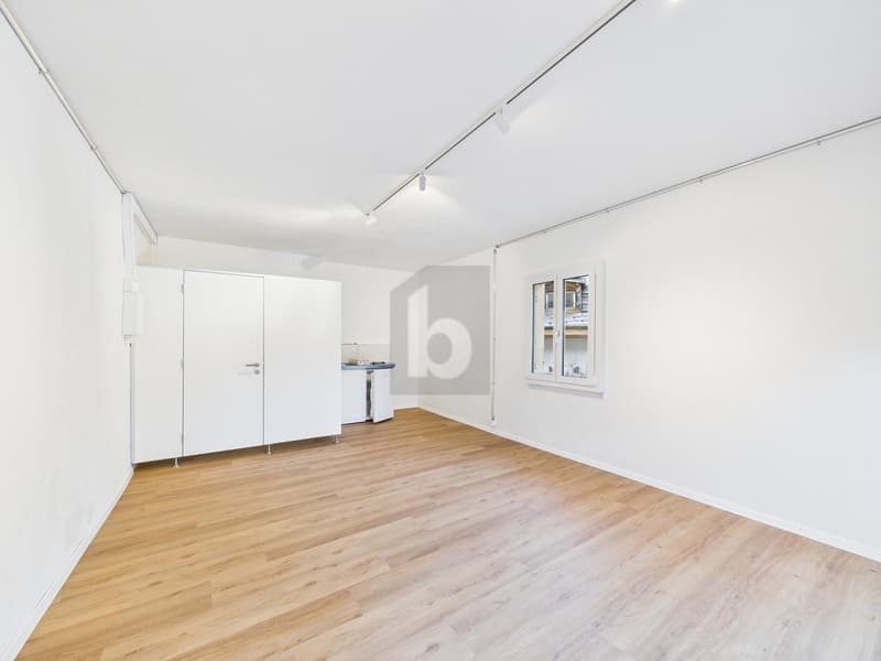 Modern Renovated in Central Location (3)