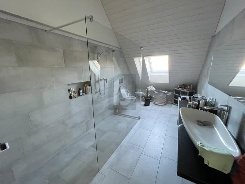 HABITAT DE LUXE AVEC CARACTÈRE LOFT ET ACCÈS ASCENSEUR (5)