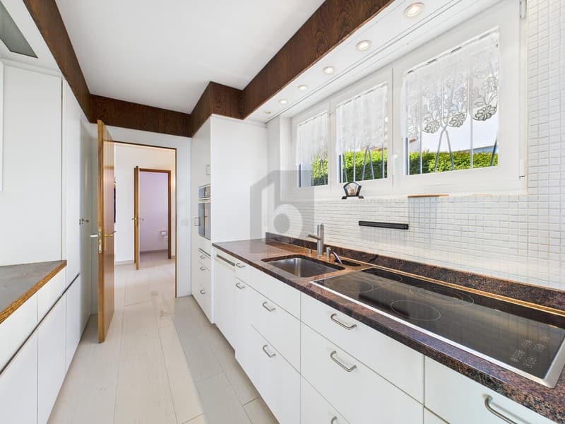 SPACIOUS WITH PANORAMIC VIEW (4)