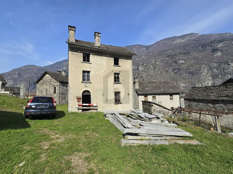 Spacious and sunny with large plot (4)