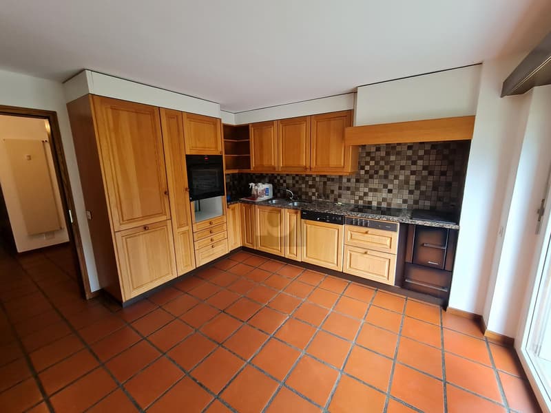 Spacious and sunny with garden (3)