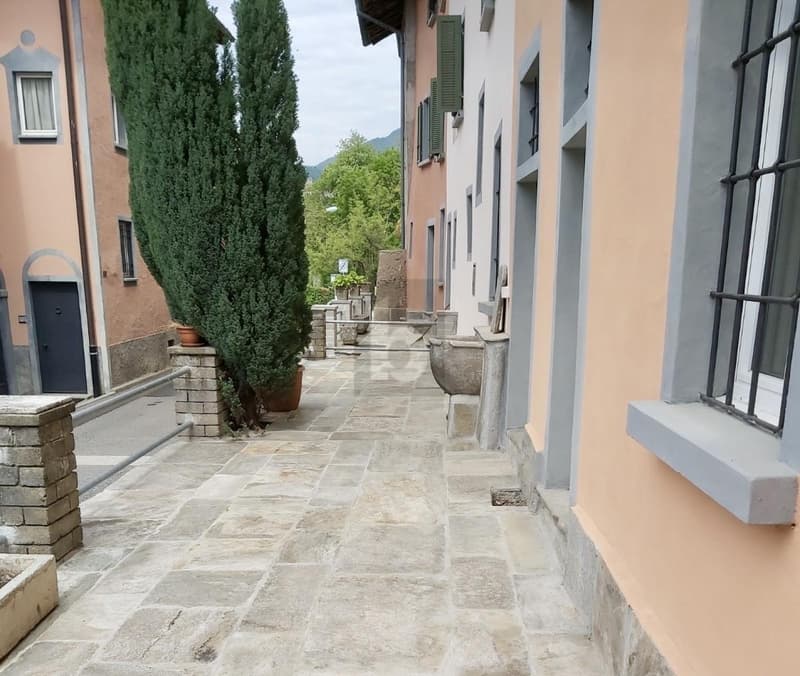 OBJET TRÈS LUMINEUX AVEC GRAND TERRAIN (1)