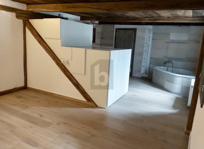 OBJET TRÈS LUMINEUX AVEC GRAND TERRAIN (4)