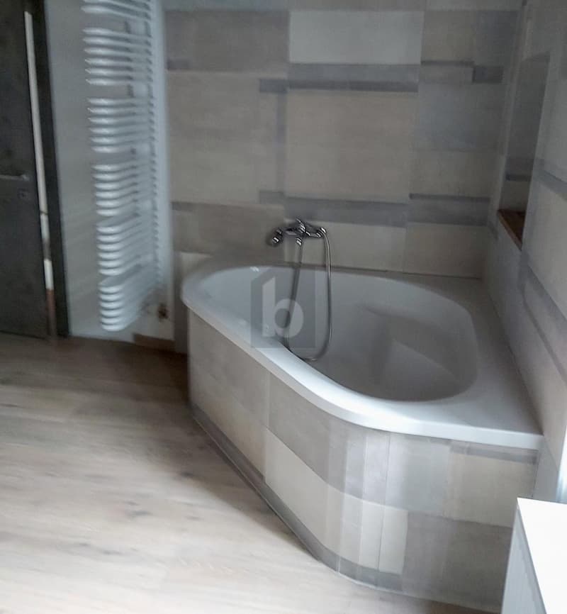 OBJET TRÈS LUMINEUX AVEC GRAND TERRAIN (3)
