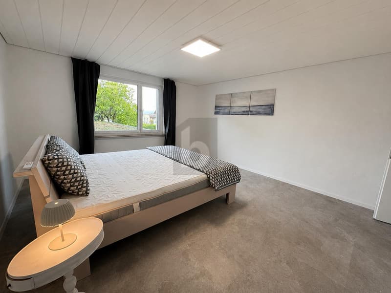 SPACIEUX DANS UN DESIGN MODERNE (5)