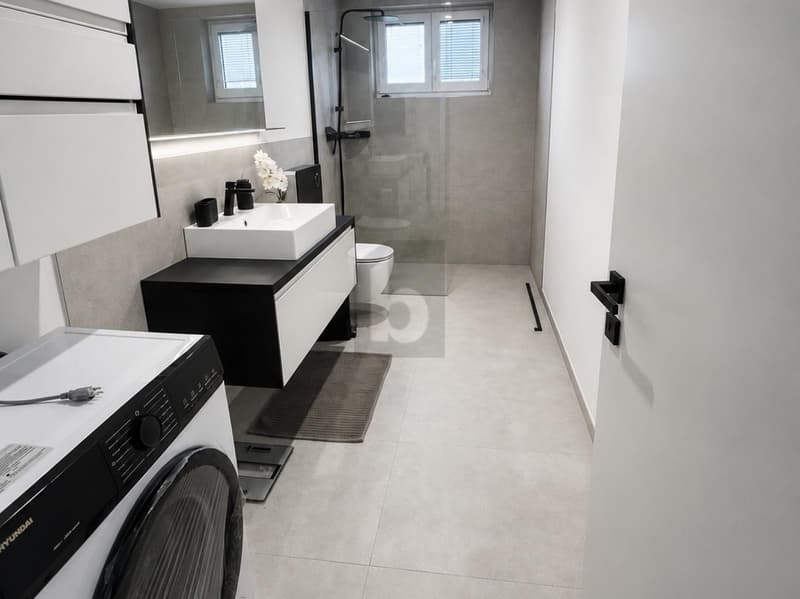 SPACIEUX DANS UN DESIGN MODERNE (3)