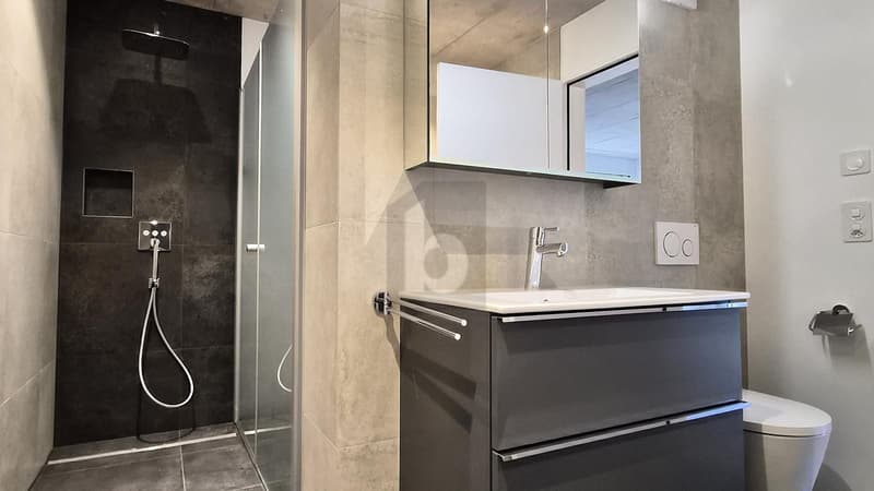 Modern, bright, and close to the city (4)