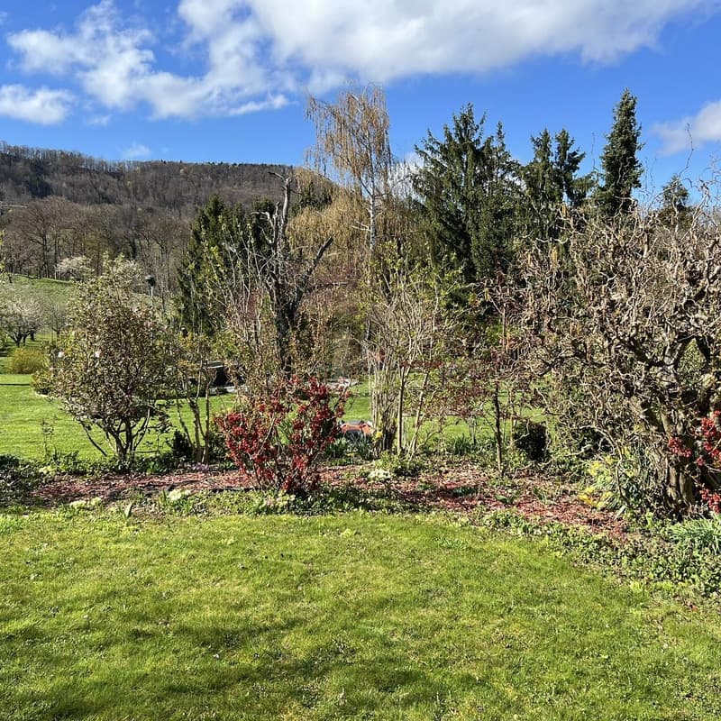 FAMILIARE CON GIARDINO SOLEGGIATO! (5)